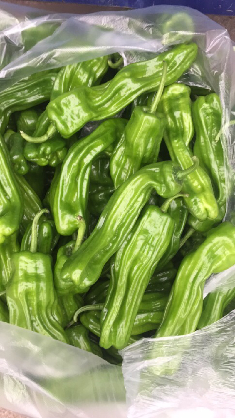 精品蔬菜，叶菜，红椒