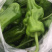 精品蔬菜，叶菜，红椒