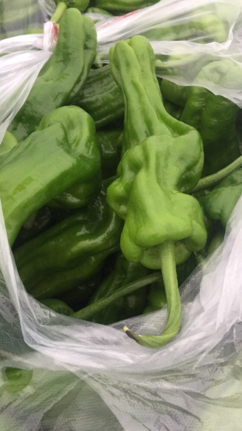 精品蔬菜，叶菜，红椒