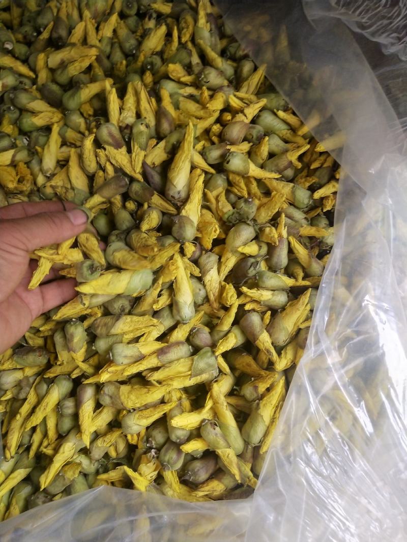 金花葵花茶长年供应杨庆磊