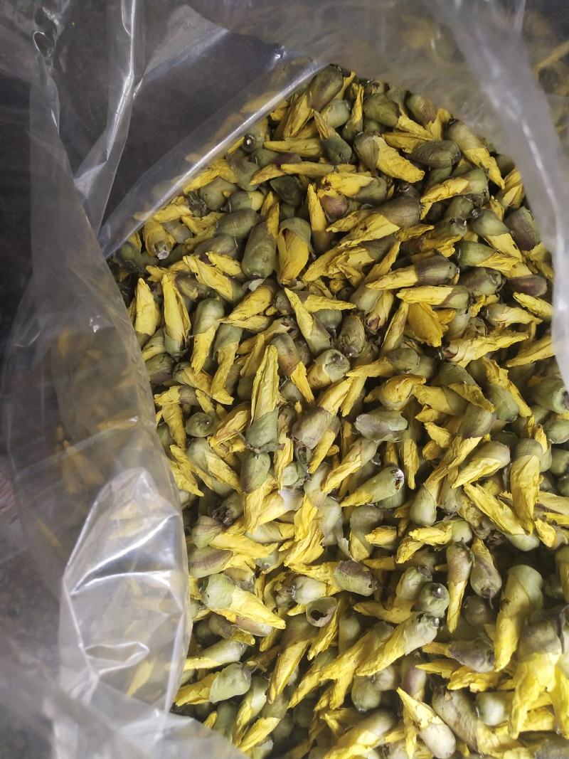 金花葵花茶长年供应杨庆磊