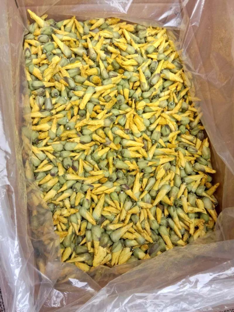 金花葵花茶长年供应杨庆磊