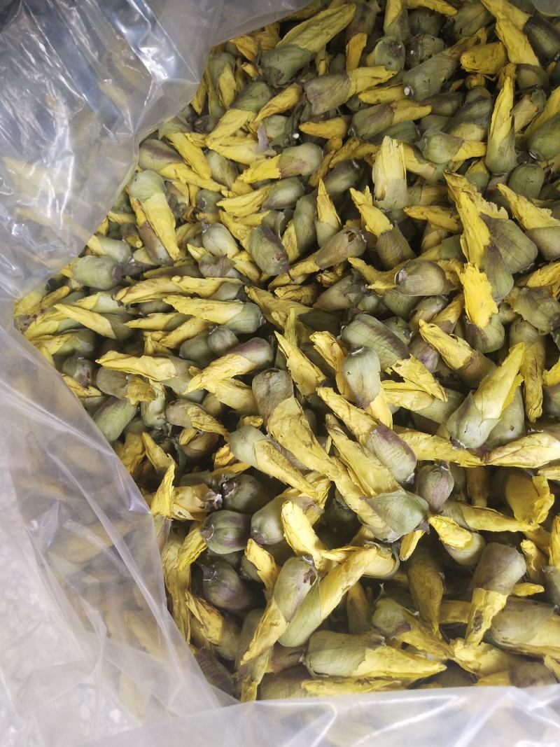 金花葵花茶长年供应杨庆磊