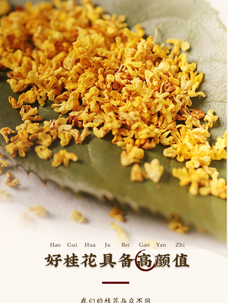 广西桂林阳朔鲜桂花干桂花茶