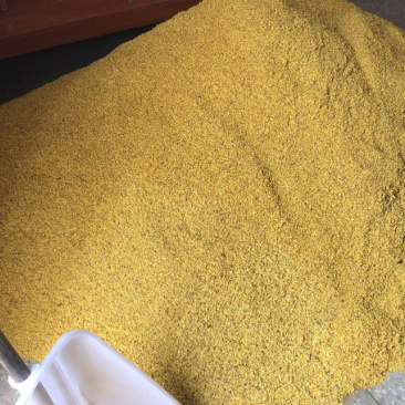 广西桂林阳朔鲜桂花干桂花茶