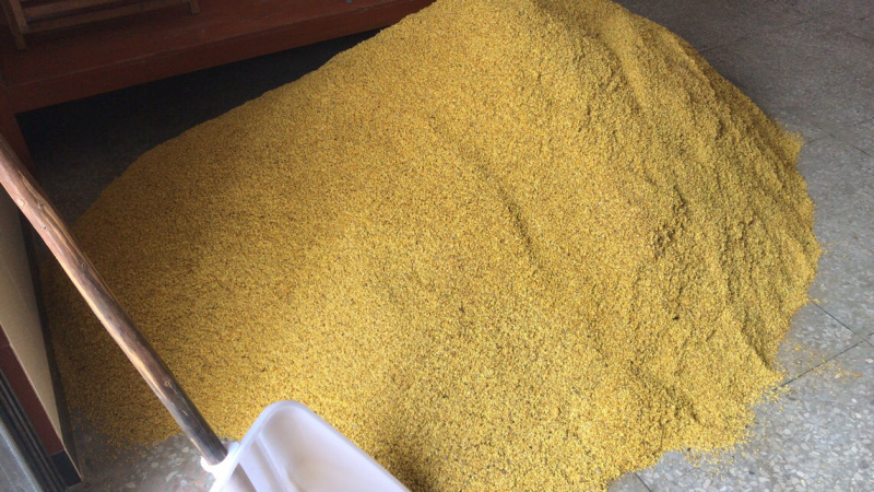 广西桂林阳朔鲜桂花干桂花茶