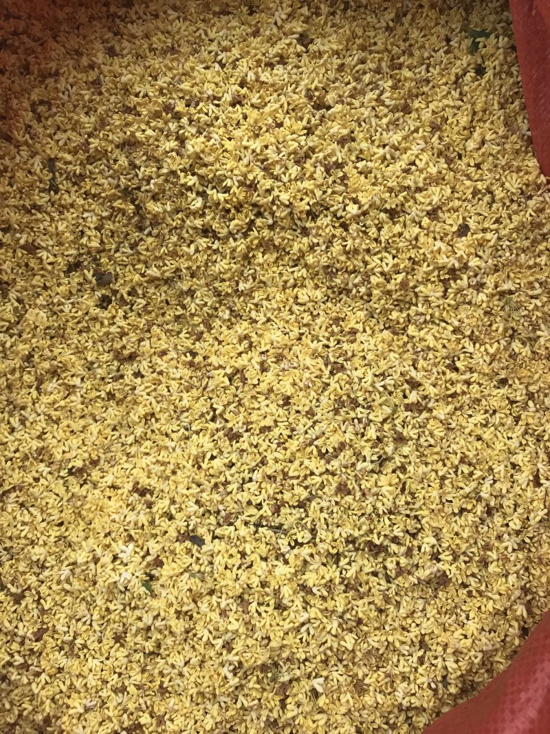 广西桂林阳朔鲜桂花干桂花茶