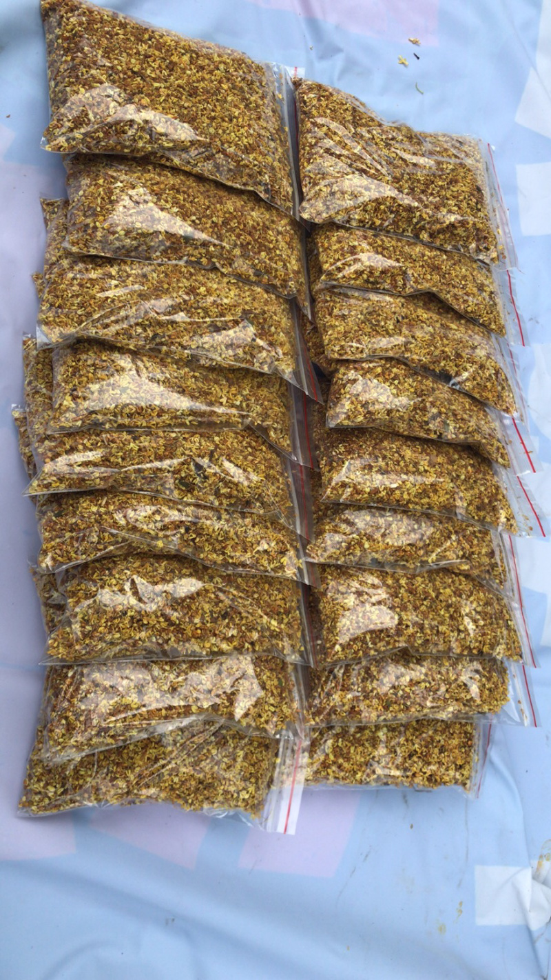 广西桂林阳朔鲜桂花干桂花茶