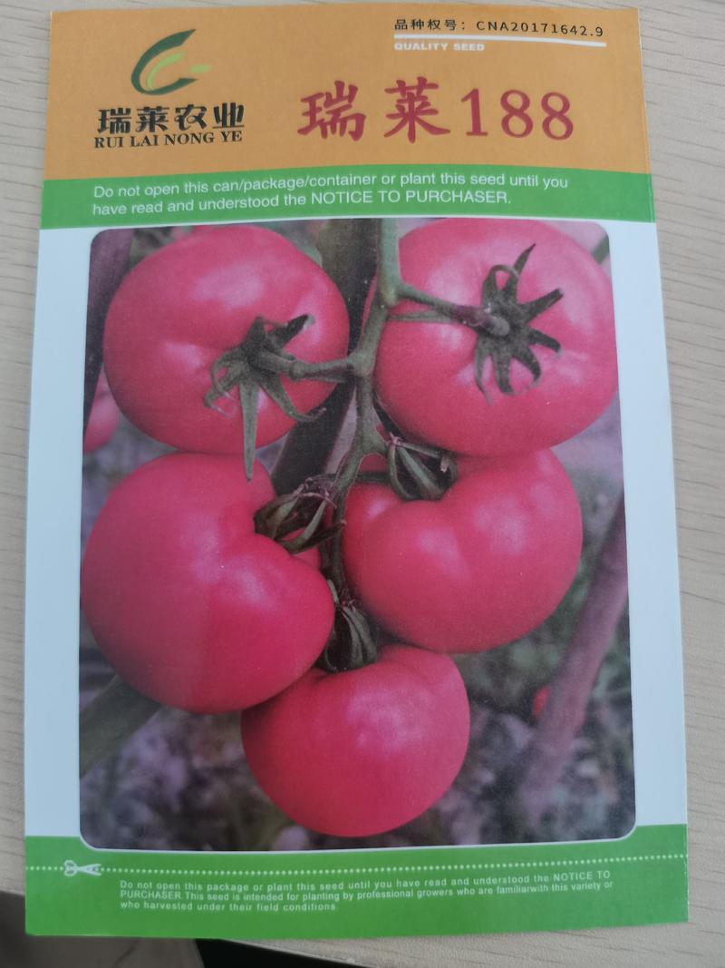 西红柿种子越夏耐热抗病硬粉番茄种子抗死棵抗叶斑