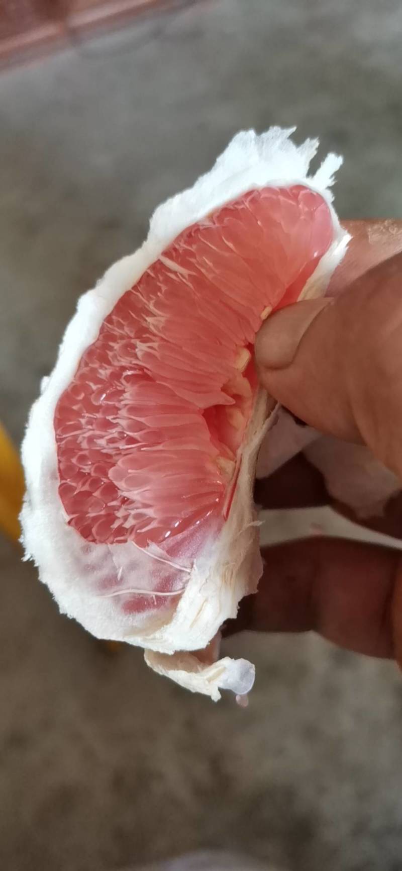 自己家的果园红心柚子