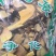 常山陕西干货常年经营冷背中药材量大从优