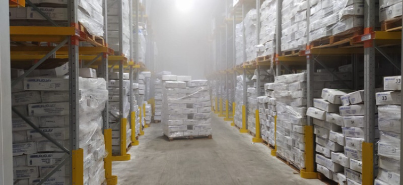 板肠，乌拉圭，303，