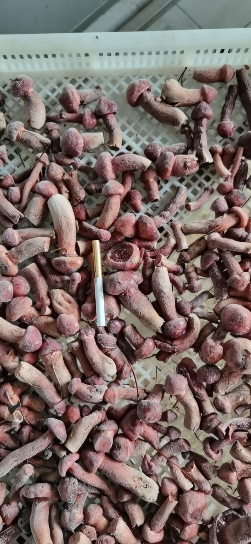 速冻精品红蘑小豆好货不多