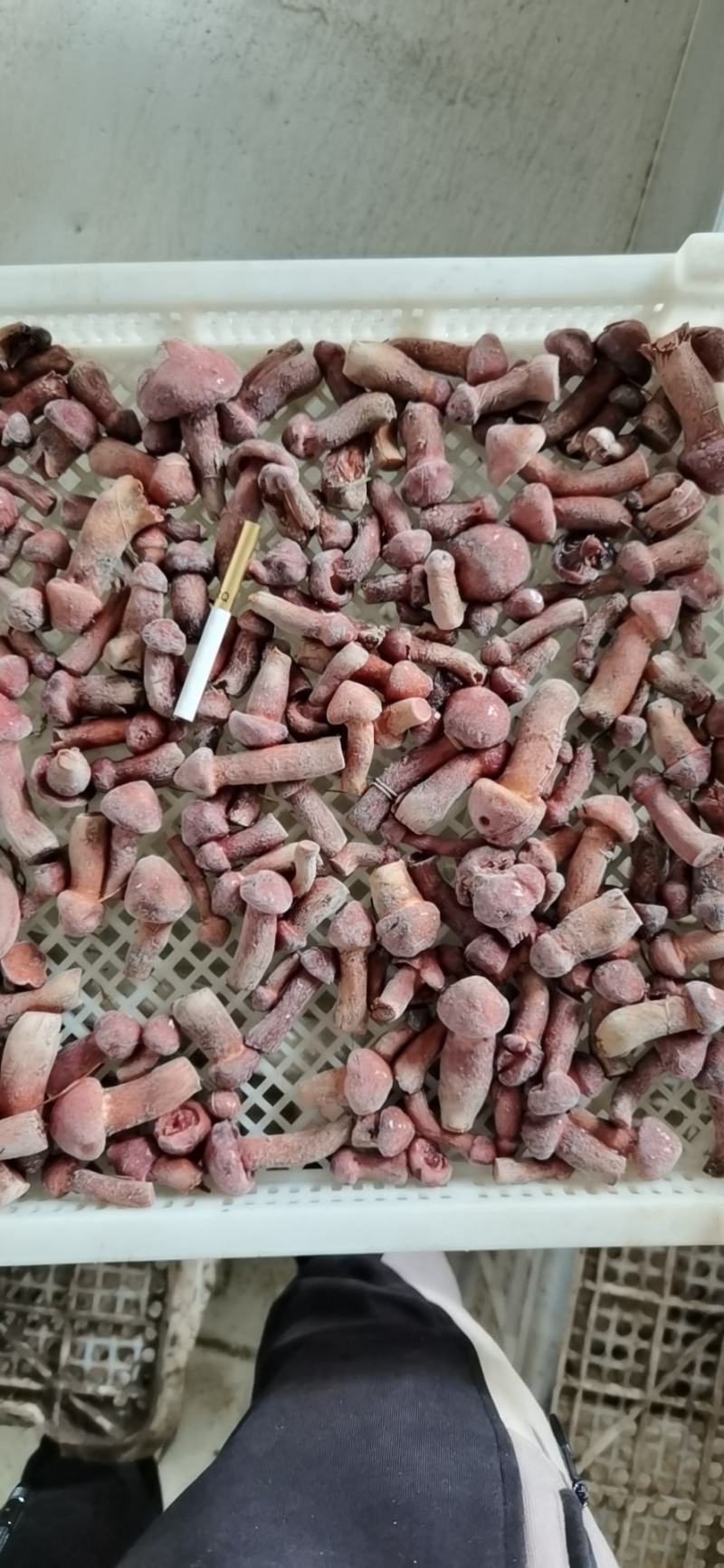 速冻精品红蘑小豆好货不多
