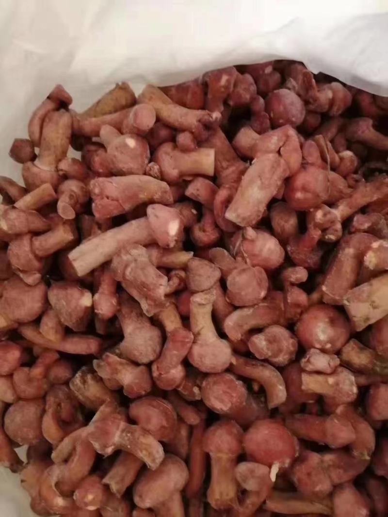 速冻精品红蘑小豆好货不多