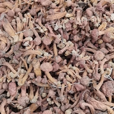 肉磨，高中低当都有货，小白礳
