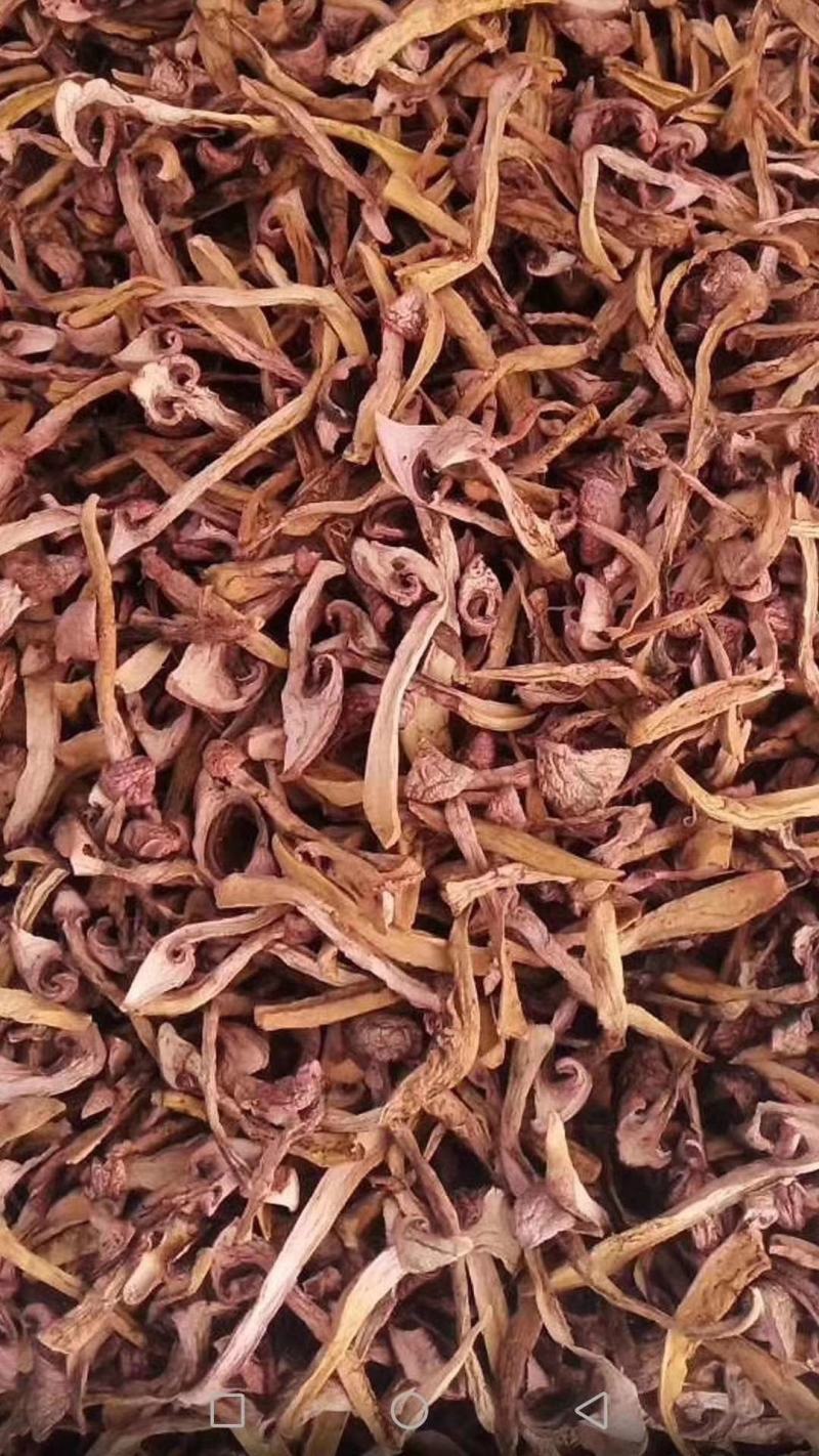肉磨，高中低当都有货，小白礳