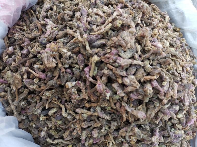 冬花批发款冬花规格齐全可供实体店零售量大从优