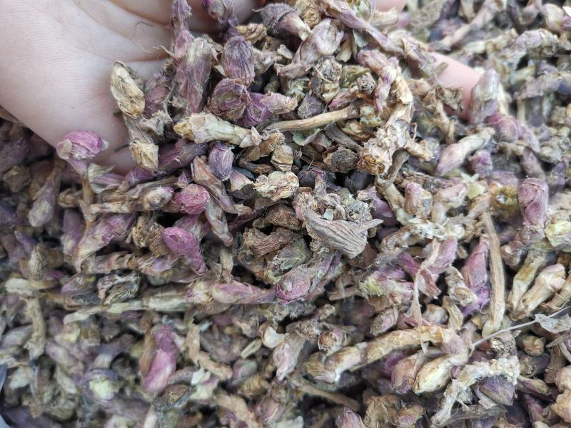 冬花批发款冬花规格齐全可供实体店零售量大从优