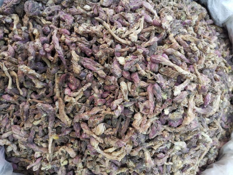 冬花批发款冬花规格齐全可供实体店零售量大从优