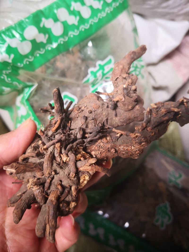 落新妇干货个子天然晒干无硫熏量大从优