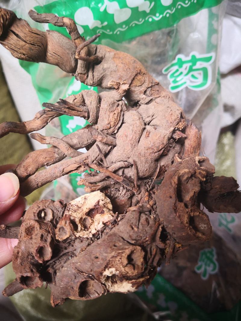 落新妇干货个子天然晒干无硫熏量大从优
