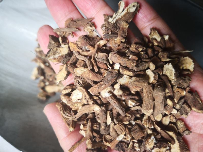 蒲公英根生干货散装量大从优常年经营各种中药材