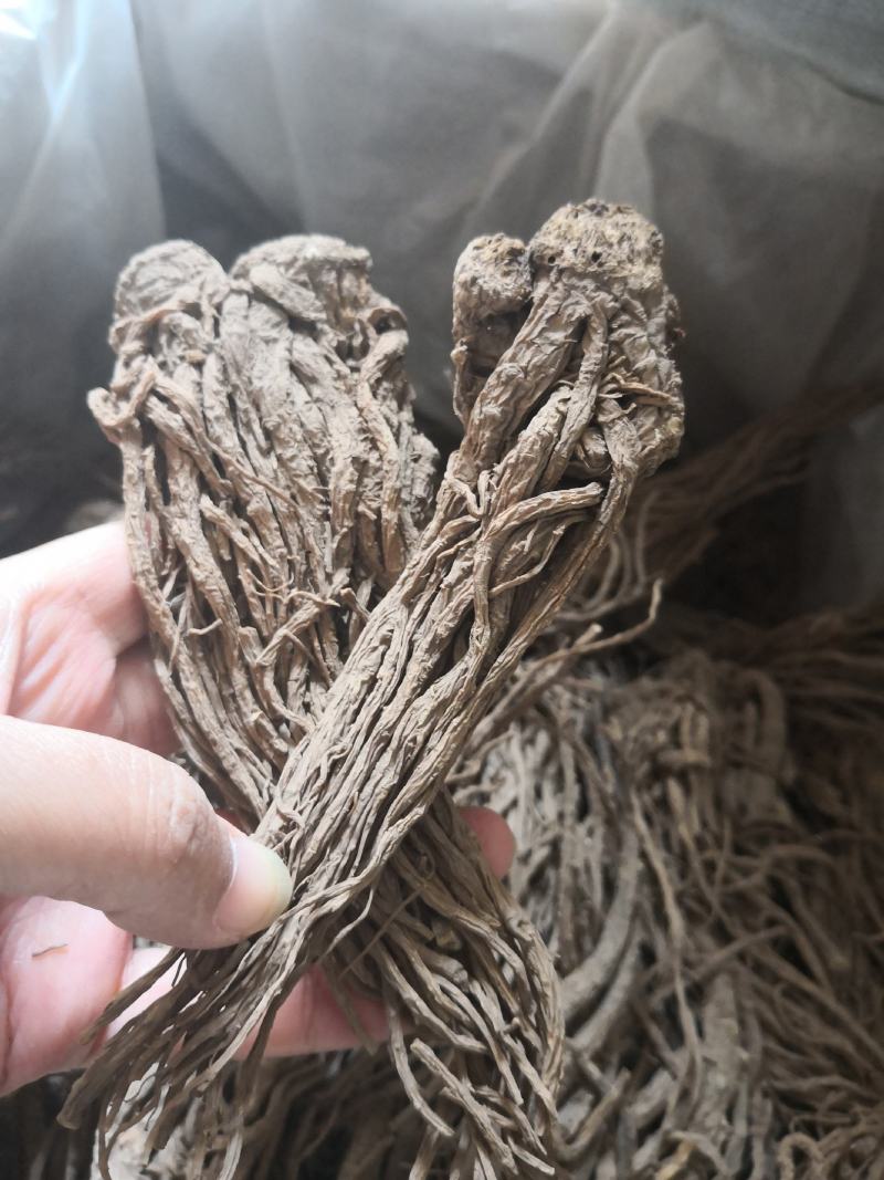 当归个子天然无硫水洗干货量大从优