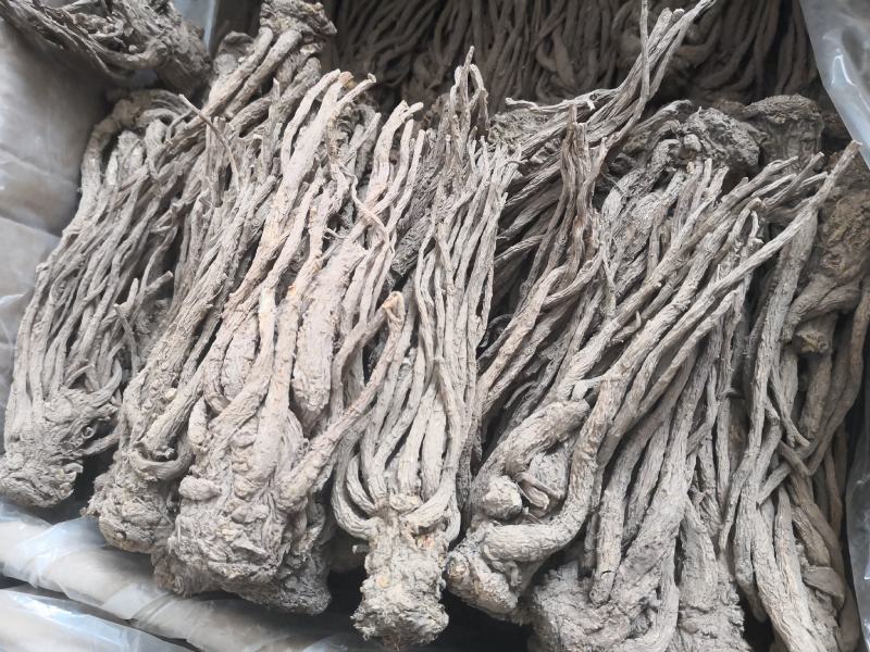 当归个子天然无硫水洗干货量大从优