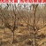 车厘子树苗四季果树果苗南方北方种植嫁接樱桃树苖盆栽当年结