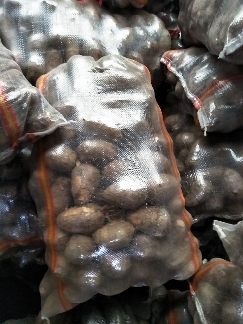 芋头大量供应中球大球统货