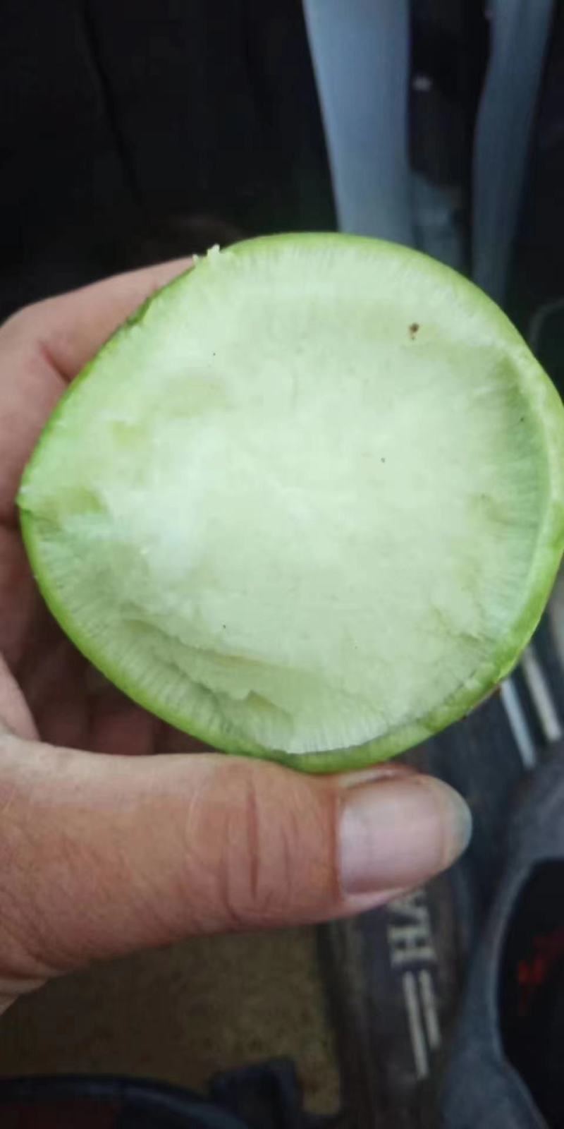 小青萝卜养殖厂，加工厂，电商，超市，产地大量，大吨位供应