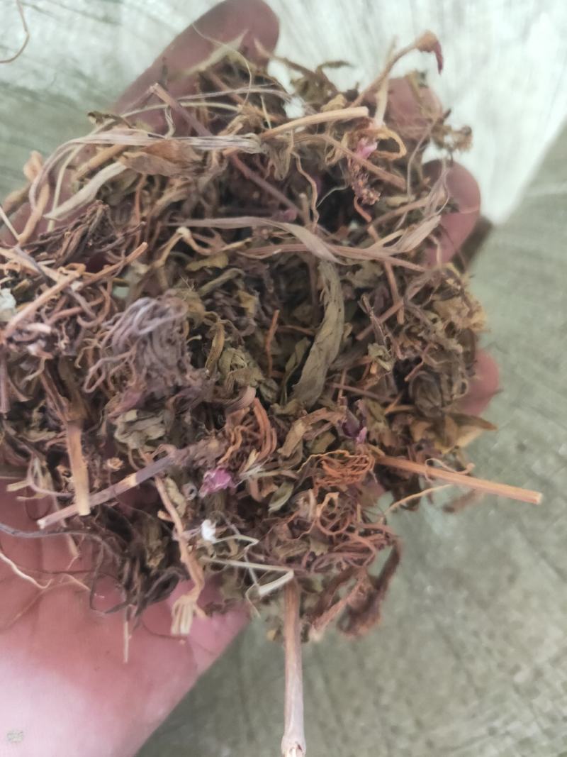 灯盏花灯盏细辛货好量大要多了有优惠