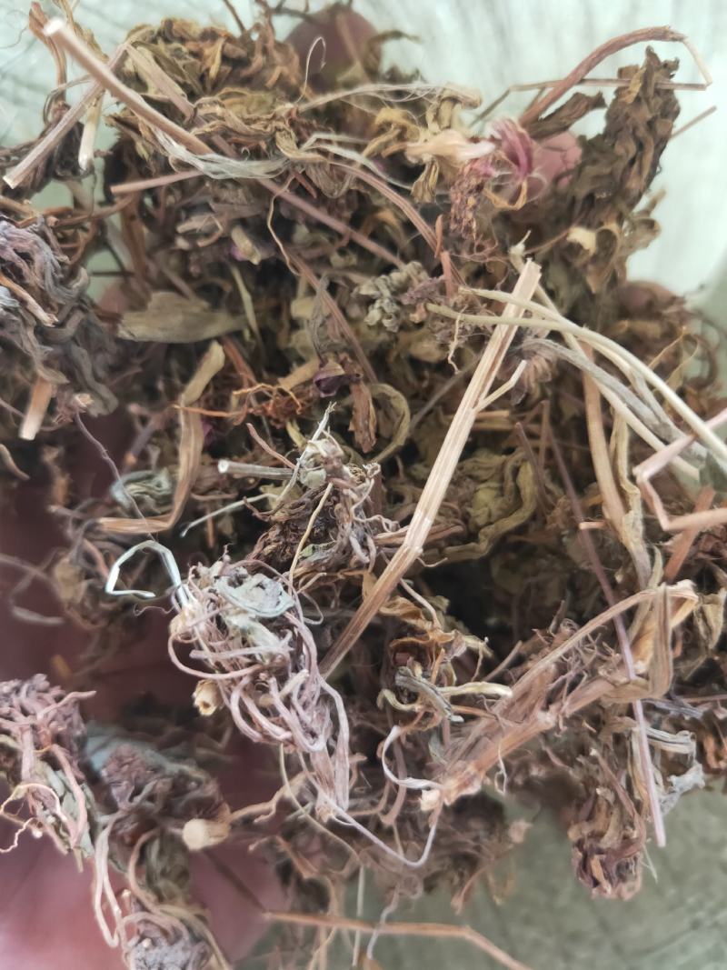 灯盏花灯盏细辛货好量大要多了有优惠