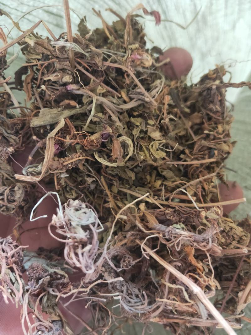 灯盏花灯盏细辛货好量大要多了有优惠