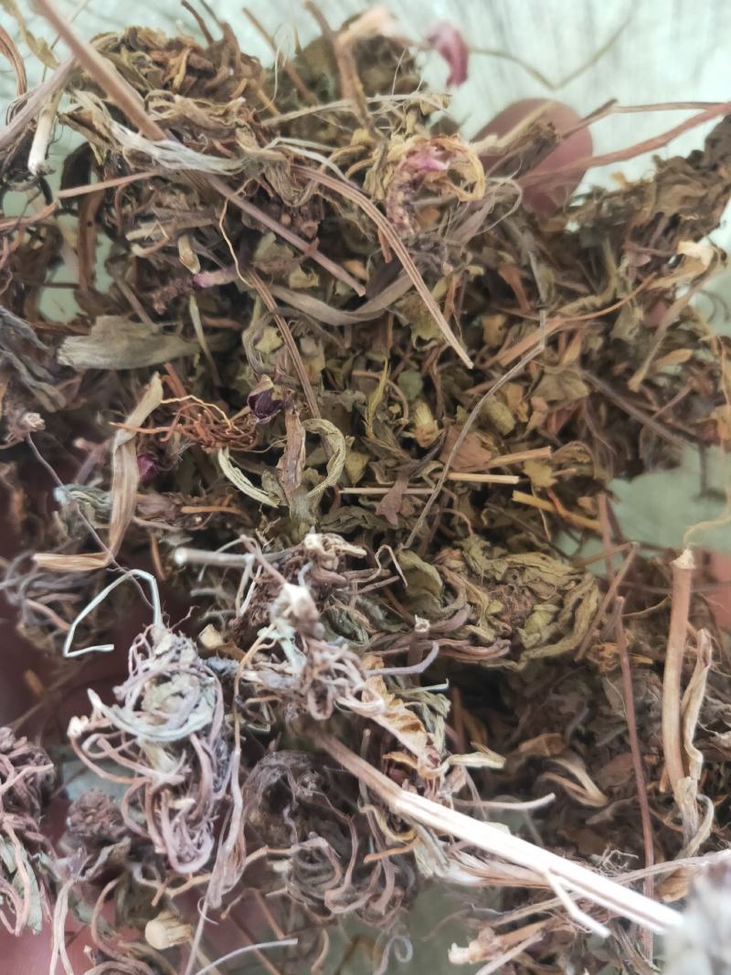 灯盏花灯盏细辛货好量大要多了有优惠