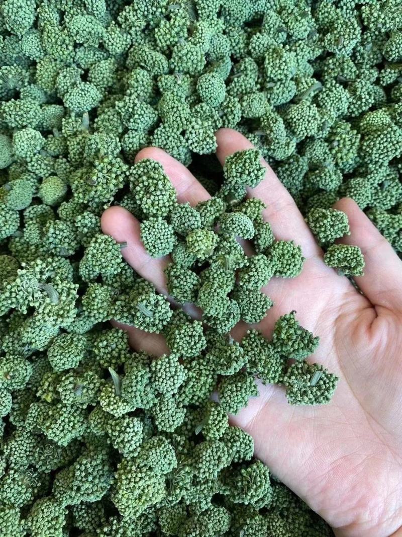三七花选货绿花一斤起包邮量大从优