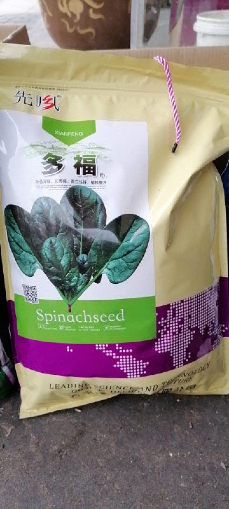小白菜籽黑大头上海青菜种子苏扬州鸡毛蔬油菜种籽孑大全秋冬