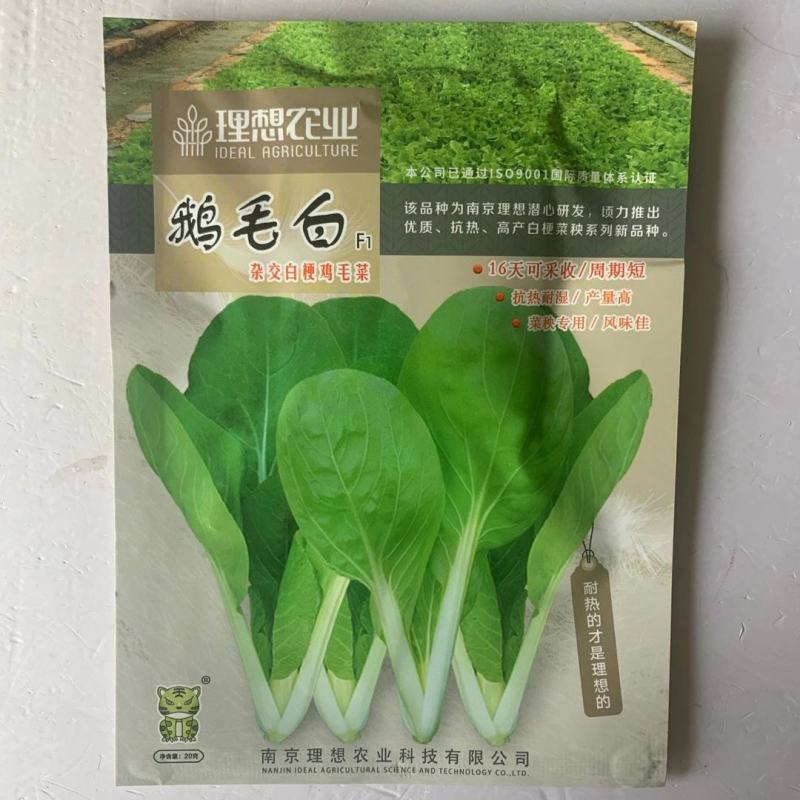 小白菜籽黑大头上海青菜种子苏扬州鸡毛蔬油菜种籽孑大全秋冬
