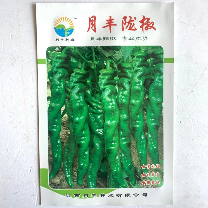 螺丝椒种子种籽孑秧苗青椒辣椒籽种软皮超辣苗秧薄皮阳台四季