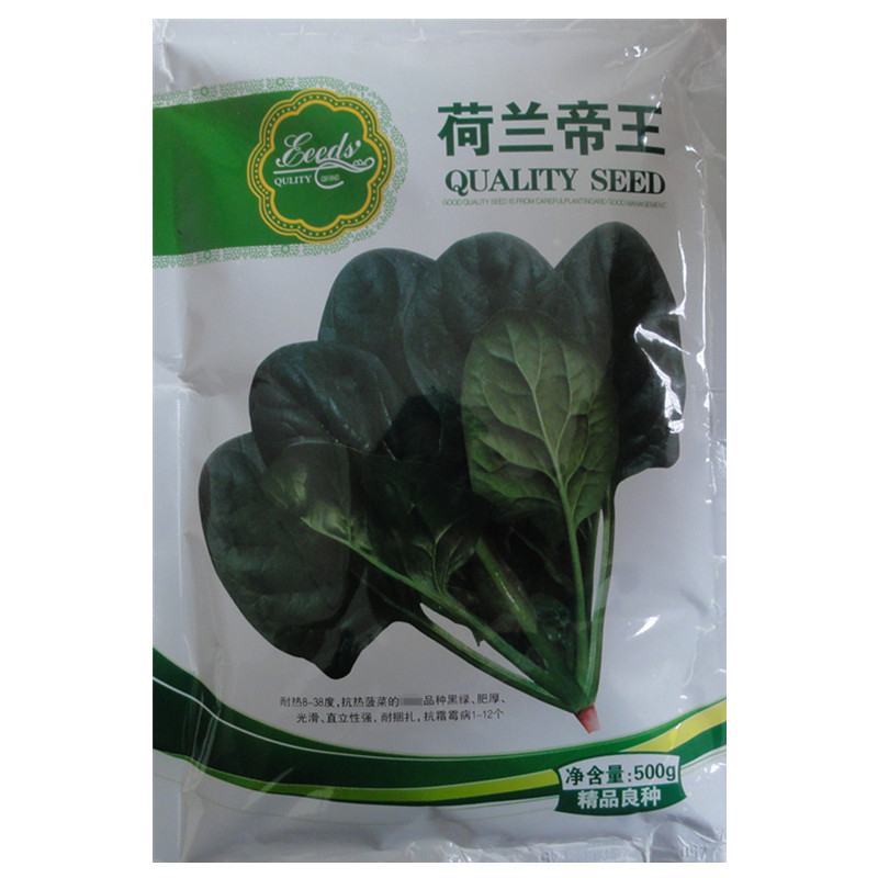 大叶菠菜种子四季蔬菜秋冬籽种阳台种籽抗热菜种盆栽波菜孑菜