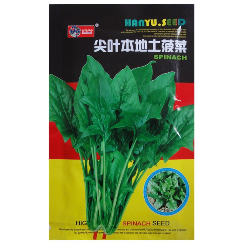 大叶菠菜种子四季蔬菜秋冬籽种阳台种籽抗热菜种盆栽波菜孑菜