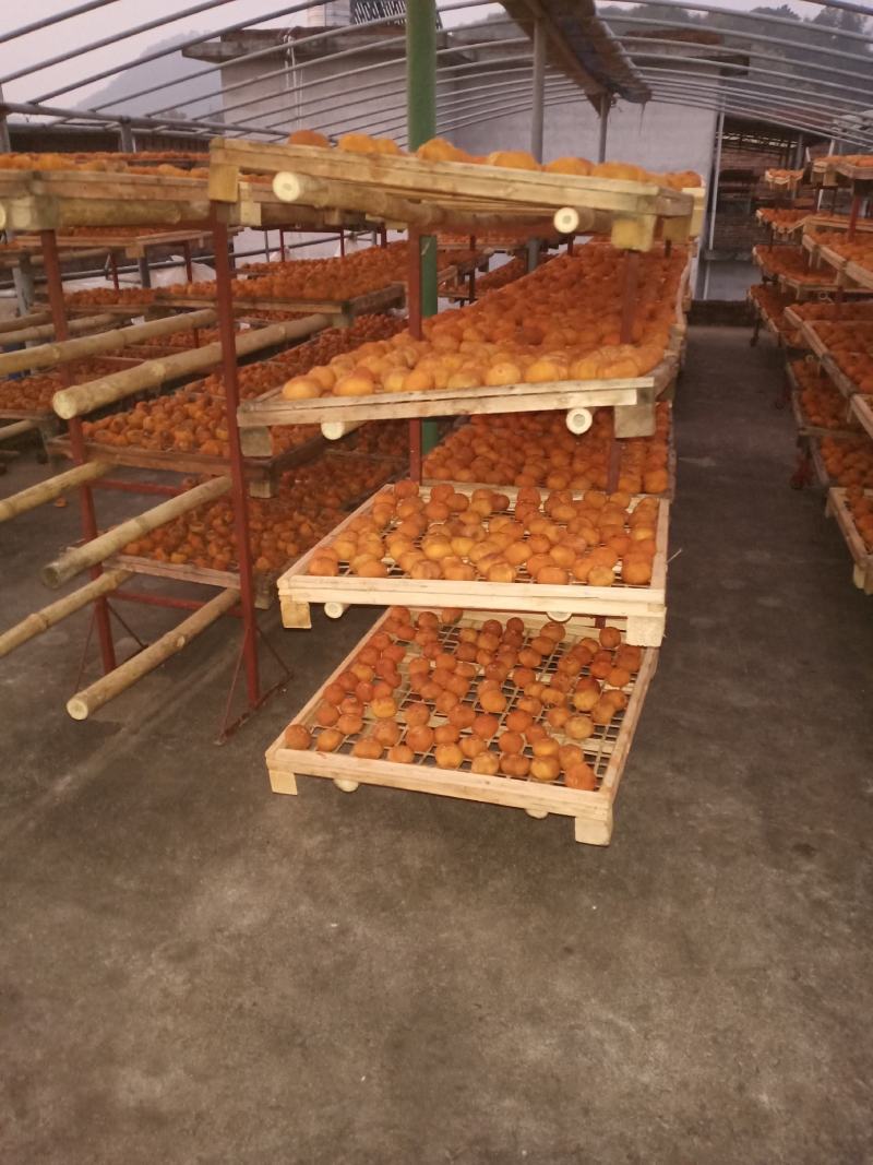 【精品】广西特产桂林优质柿饼品质保障对接各级批发