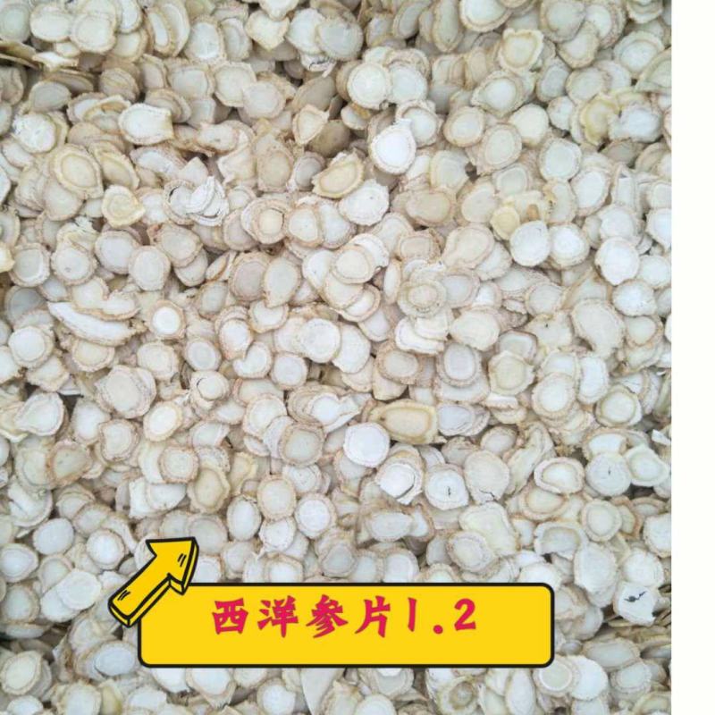 西洋参片花旗参片0.6-1.2规格，源产地批发一手货源