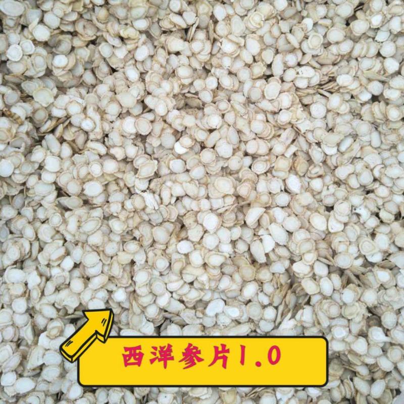 西洋参片花旗参片0.6-1.2规格，源产地批发一手货源