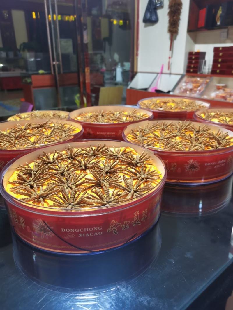 降价处理冬虫夏草推销