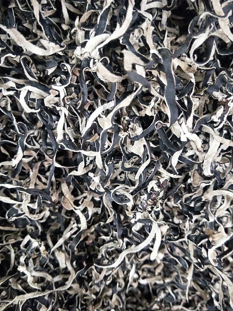 木耳丝产地木耳丝精品木耳丝