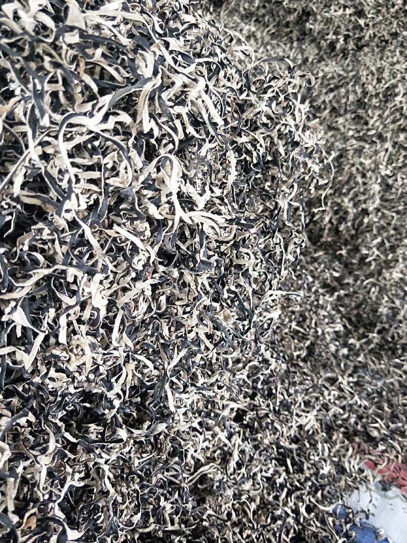 木耳丝产地木耳丝精品木耳丝