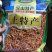 虫草花干货无硫新货500克包邮精排草孢子头产地批发