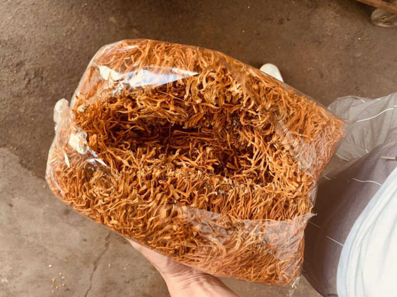 虫草花干货无硫新货500克包邮精排草孢子头产地批发